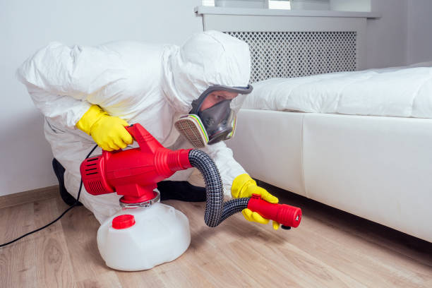 Best Termite Control Services  in Palermo, NJ